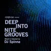 DJ Spinna - Deep Into Nite Grooves